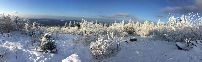 winter landscape with brunhildis rock at Feldberg
