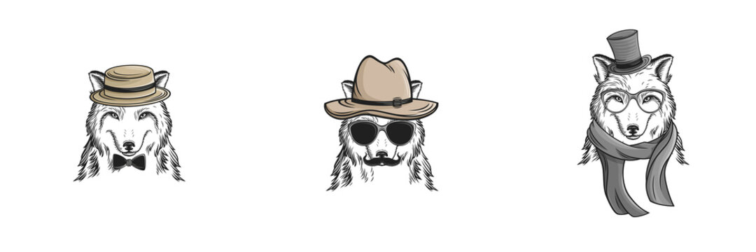 Crazy creative animal design with accessories 