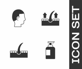 Set Bottle of shampoo, Hairstyle for men, Human hair follicle and icon. Vector