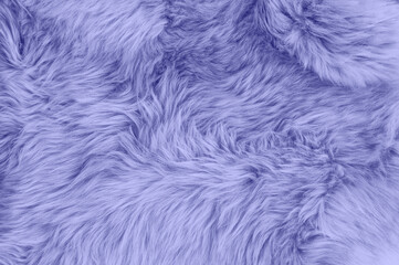 Very peri color sheep fur sheepskin rug background Wool texture - obrazy, fototapety, plakaty