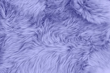 Foto op Plexiglas Pantone 2022 very peri Zeer peri kleur schapenvacht schapenvacht tapijt achtergrond Wol textuur