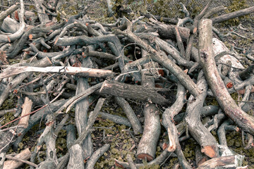 A pile of folded wood. Prepared firewood. Wooden branches collected for the fire