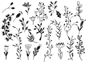 Big collection flowers, leaves, tree branches, berries. Scandinavian style. Wild Botanical elements for your design. Simple minimalistic Black white flowers. Vector illustration.