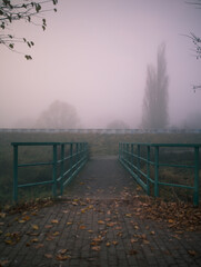 symmetrical bridge in a misty forrest