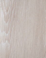 White birch or ash wood texture for background - 474520832