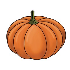 pumpkin on a white background