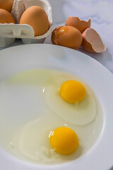 Raw Eggs. Isolated. Cracked raw  eggs on white plate.  Cardboard egg box on the back . Stock Image.