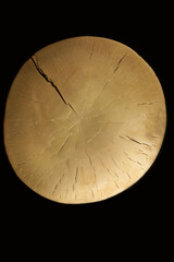 Golden circle with the texture of a saw cut of a tree on a black background - 474522481