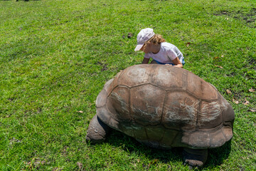 Close-up of the girl's playing with giant turtle on the safari park. Mauritius island