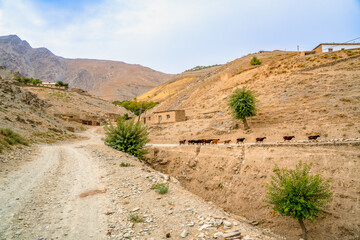 Uzbekistan, landscape and villages while hiking in the Nuratau mountains. - obrazy, fototapety, plakaty