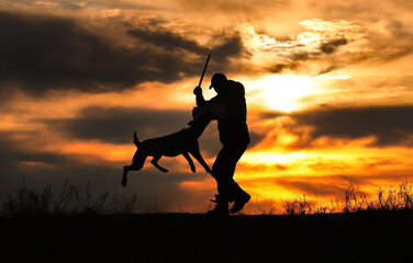 Protective section with a dog, a dog attacks a helper against a sunset background