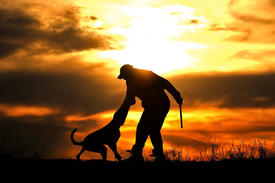 Protective section with a dog, a dog attacks a helper against a sunset background
