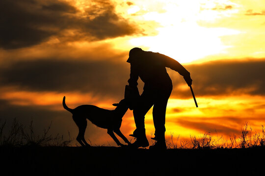 Protective section with a dog, a dog attacks a helper against a sunset background