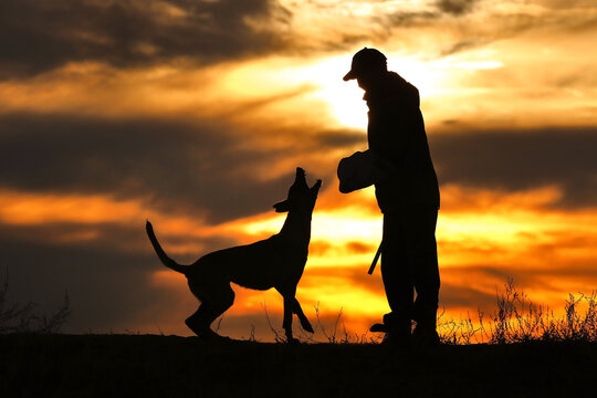 Protective section with a dog, a dog attacks a helper against a sunset background