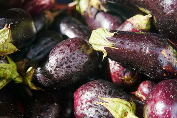 Fresh zucchini on the counter in a vegetable shop. High quality photo