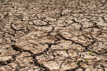 Cracked floor for background or graphic design with drought and death concept.