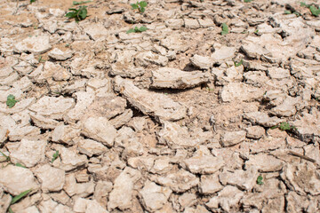 Cracked floor for background or graphic design with drought and death concept.