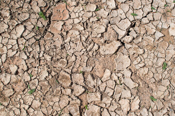 Cracked floor for background or graphic design with drought and death concept.