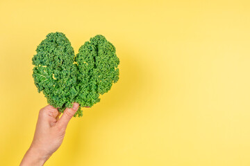 Woman hand holding green heart made of fresh curly kale cabbage leaves over yellow background. Love...