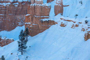 Bryce Canyon National Park Utah Winter Landscape