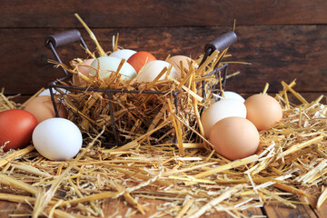 Frische Eier direkt vom Bauern