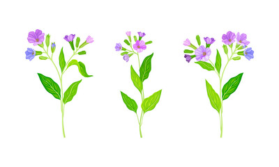 Naklejka na ściany i meble Fresh pink summer or spring garden flowers set vector illustration