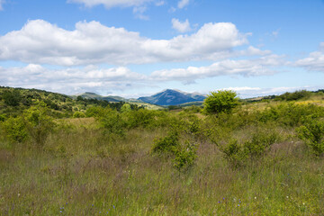 Fototapeta na wymiar Spring mountain landscape with varied vegetation