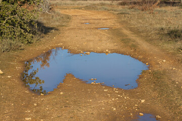 Rain puddle on dirt road 