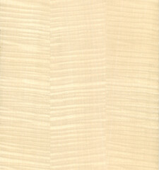 Bleahced rippled sycamore veneer texture seamless high resolution isolated