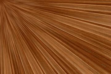 Dark brown wood marquetry marquetry in sunburst pattern