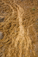 Crystallized calcium carbonate layered hot spring mineral texture background. Yellowstone National Park.