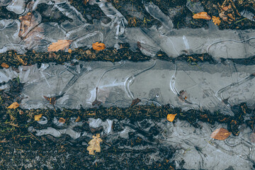  tires trail and leaves frozen in puddle