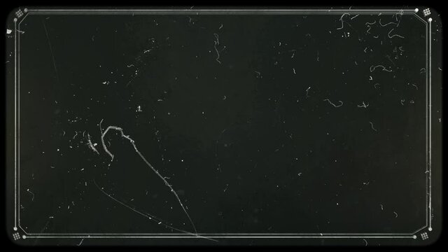 The effect of a retro film with damage and scratches. A re-created film frame from the silent movies era. Old Silent Film Style Frame.