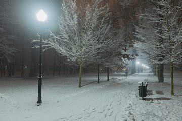 Parkowa alejka w zimową śnieżną noc. Widoczność jest ograniczona przez padający śnieg. - obrazy, fototapety, plakaty