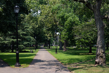 Empty Path at Wooster Square Park in New Haven Connecticut during the Summer with Green Grass and Trees