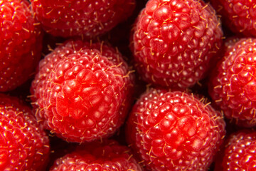 close up of fresh strawberries