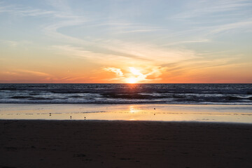 sunset on the beach, birds on the sunset