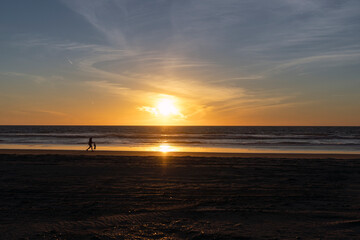person walking with a dog in a sunset on the beach