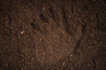 Woman hand trace on a ground.