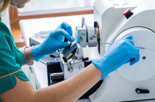 Laboratory assistant works on a rotary microtome section and making microscope slides