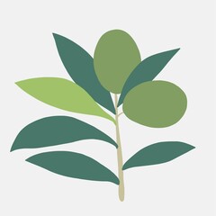 doodle freehand sketch drawing of olive fruit.