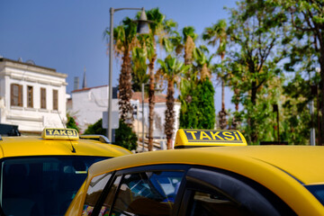 Obraz na płótnie Canvas Taxi car sign Taksi with palm tree on background. Concept. Fast and cheap taxi booking service. Travel. Summer time. 