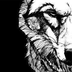 vecton graphic freehand drawing of the head of a severe wolf. imitation black ink isolated on black background. can be used as a tattoo, illustrations, printing on T-shirts, postcards, advertising.