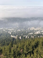 Knüllfeld im Nebel