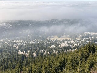 Knüllfeld im Nebel