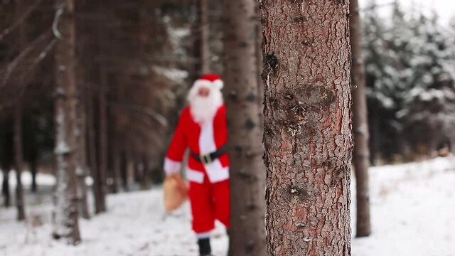 Drunk Santa Claus in the winter in the forest. A drunk man in a Santa Claus costume is staggering through the woods