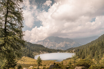 small beautiful lake surrounded by pine forests on the spectacular Italian Alps