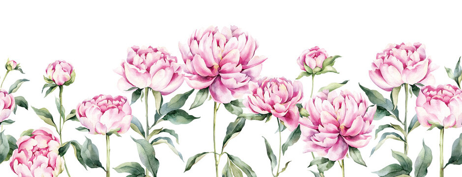Watercolor seamless border with pink peonies flowers. Hand painted repeating ornament with floral elements on white background. May be used as background texture