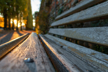 Fototapeta na wymiar Wooden bench in autumn park