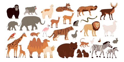 Zoo Animals Set